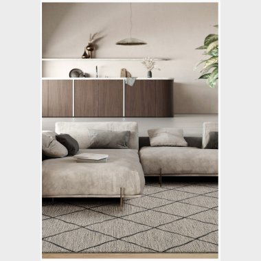 Løse korthårede/fladvævede tæpper